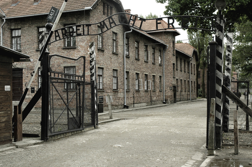 Auschwitz Birkenau Private Tour | TOUR GUIDE KRAKOW-1