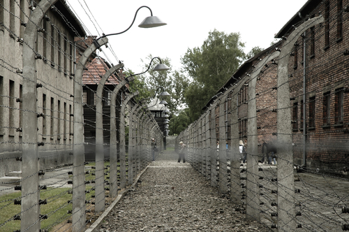 Auschwitz Birkenau and Salt Mine One Day Private  Tour | TOUR GUIDE KRAKOW-1
