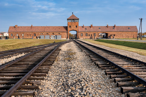 Auschwitz Birkenau and Salt Mine One Day Private  Tour | TOUR GUIDE KRAKOW-3