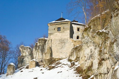 Polish Castles Private Tour | TOUR GUIDE KRAKOW-2